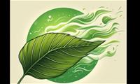 GREEN BREEZE REALTY LLC