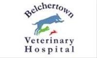 Belchertown Veterinary Hospital