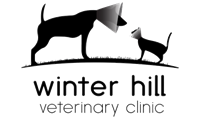 Winter Hill