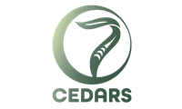 7 Cedars