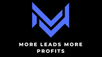 More Leads More Profits