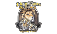 Lions Tigers & Bears