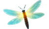 Firefly Mental Health, LLC