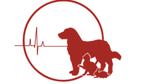 Central Hospital for Veterinary Medicine