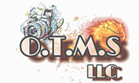 One Team Multi Services LLC