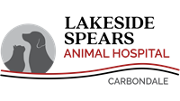 Lakeside Spears Veterinary Hospital