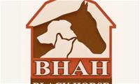Black Horse Animal Hospital