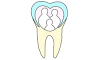 Fina Family Dental, PLLC