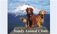 Sandy Animal Clinic