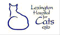Lexington Hospital for Cats