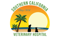 Southern California Veterinary Hospital