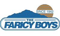 The Faricy Boys