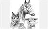 Colville Animal Hospital