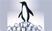 Penguin Door Co.