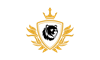 Ironclad Wealth Partners