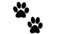 Strongsville Animal Hospital