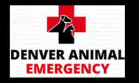 Denver Animal Emergency