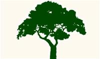 Duran Tree & Landscape