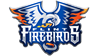 Flint Firebirds Hockey