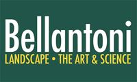 Bellantoni Landscape