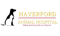 Haverford Animal Hospital