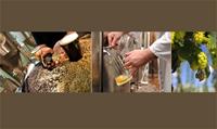 AlphaBeer Technical Services