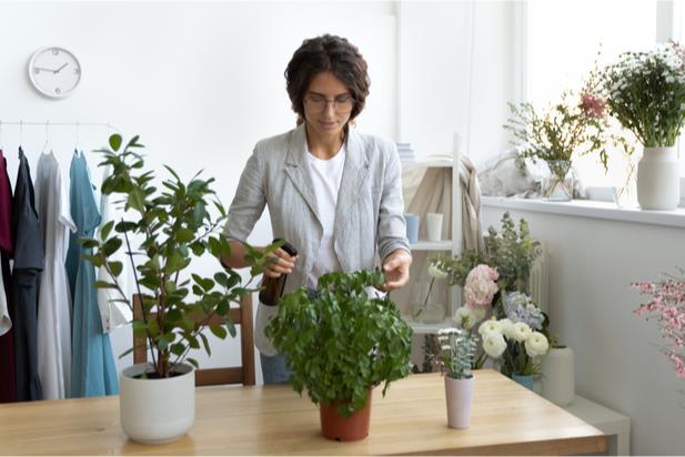 employee watering plants