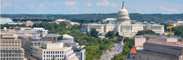 Photograph of Washington, DC and the Capitol building in summer