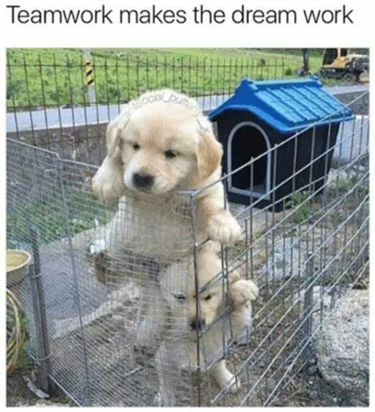 teamwork makes the dream work