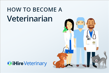 How to become a veterinarian