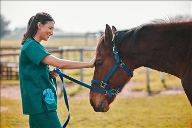smiling veterinary professional placing her hand on a horse