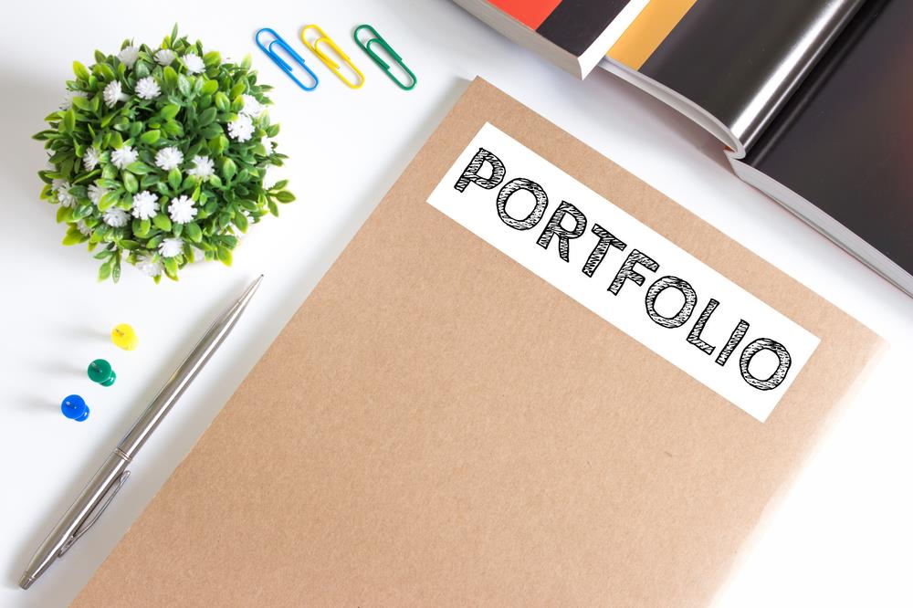 Professional portfolio