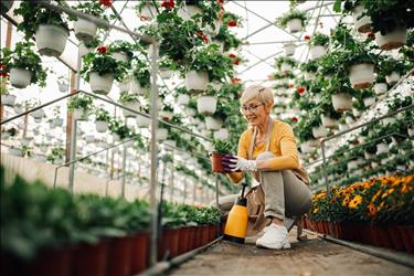 garden center employee taking care of plants