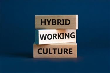 Hybrid Working Culture