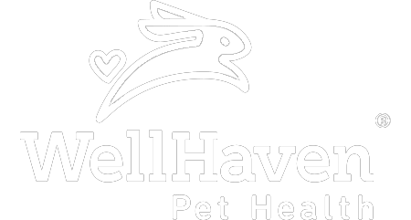 WellHaven logo