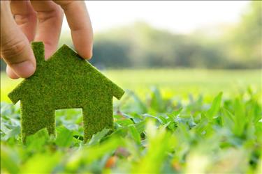 Someone holding a house made from plants