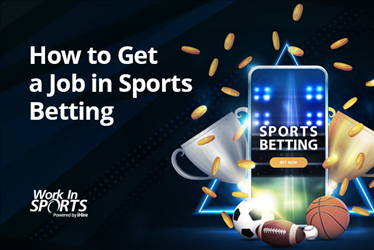 how to get a job in sports betting