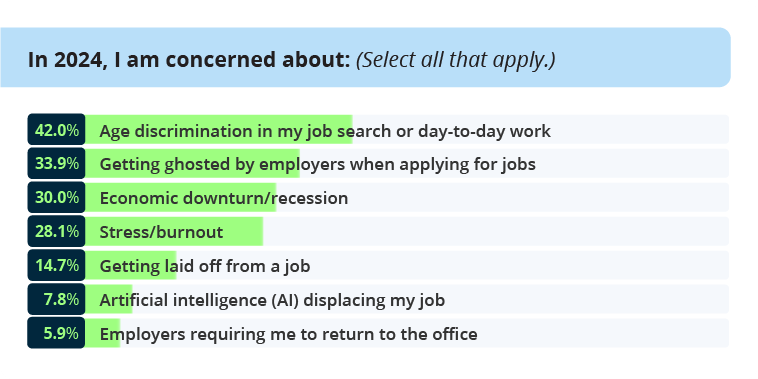 chart - 2024 job seeker concerns