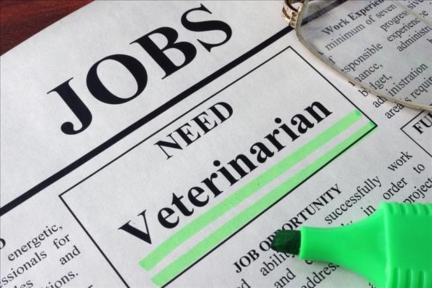 Hiring ad for veterinarian