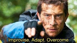 Celebrity adventurer Bear Grylls funny meme