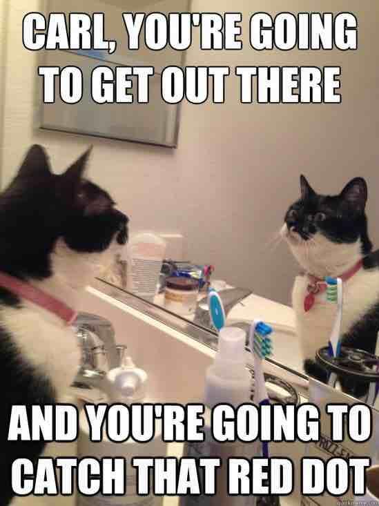 meme: Carl, you’re going to get out there and you’re going to catch that red dot.