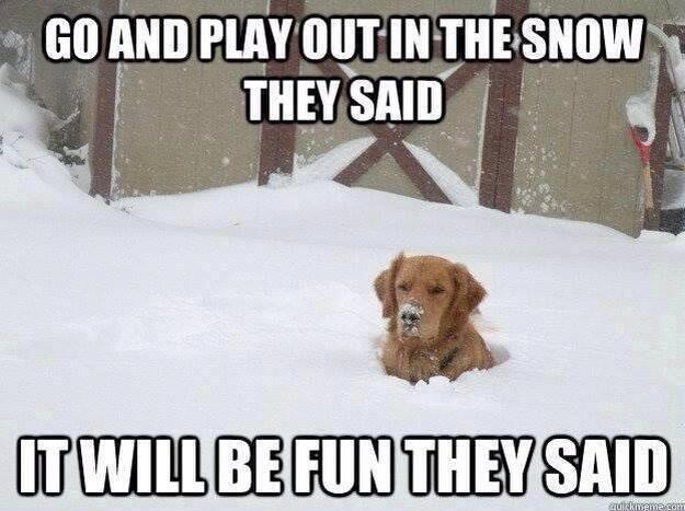 meme: Go and play out in the snow they said. It will be fun they said.