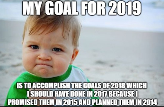 meme: My goal for 2019 is to accomplish the goals of 2018 which I should have done in 2017 because I promised them in 2015 and planned them in 2014.