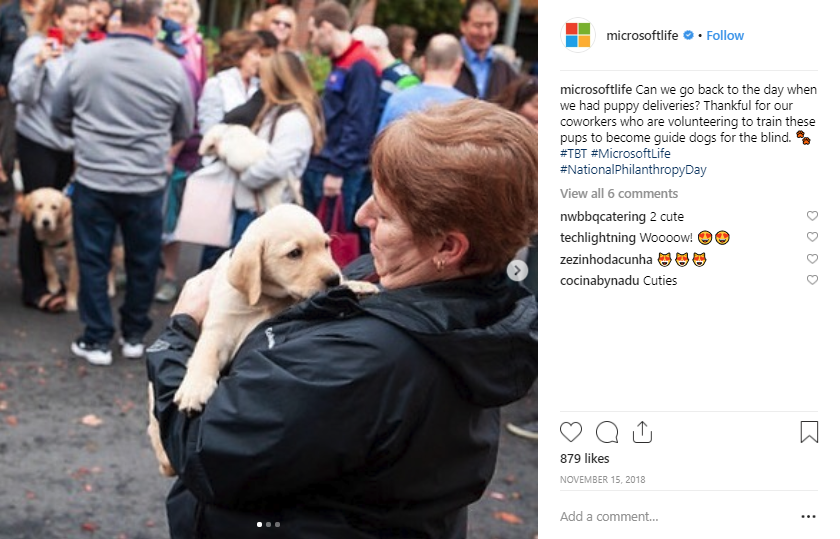 screen shot of a @microsoftlife post on instagram