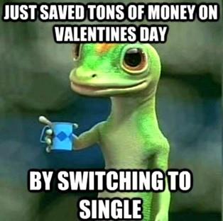 just saved tons of money on valentine's day by switching to single meme