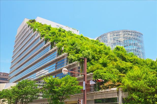 City building with plants growing on its face