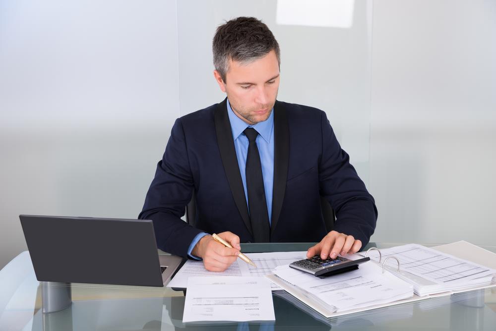 auditor reviewing a company's financial statements