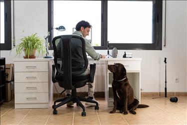 man smiling with his dog in his home office