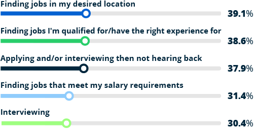 graph showing Gen Z's top job search challenges