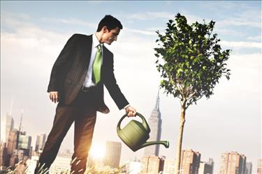 employee watering a tree